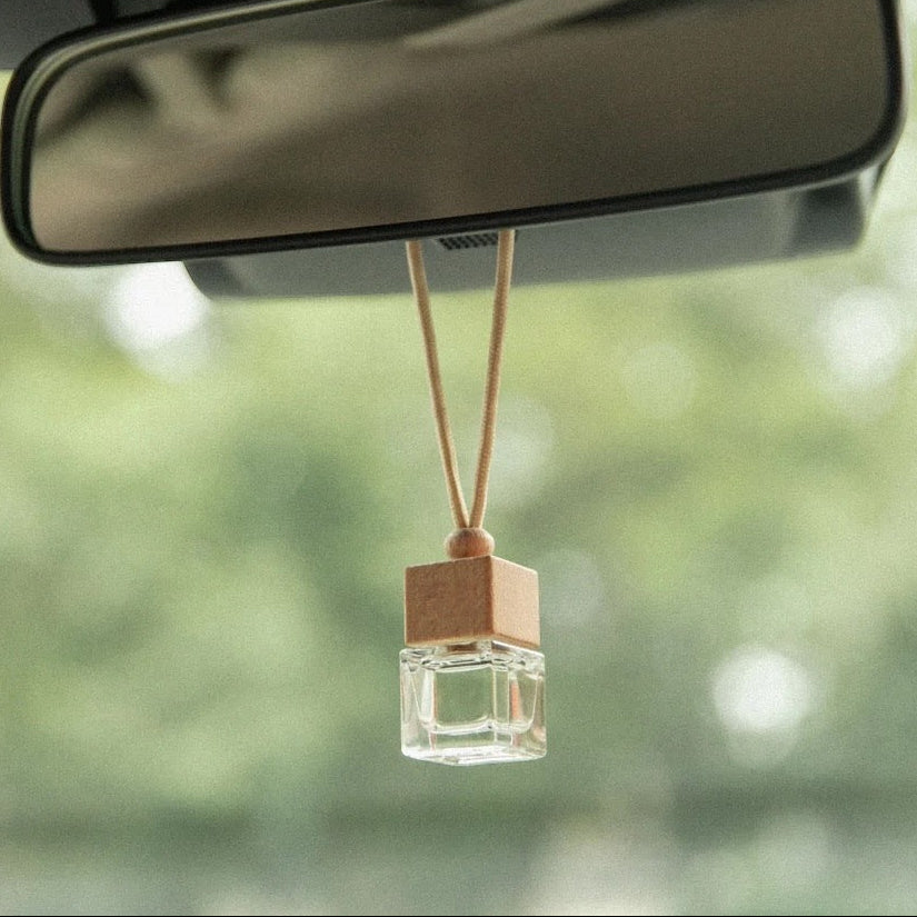 Car diffuser image 1